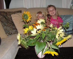 Sunflowers from Mimi